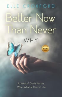Better Now Than Never: Why - Better Now Than Never, #1