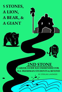 2nd Stone - 5 Stones, a Lion, a Bear and a Giant, #2