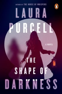 The Shape of Darkness - A Novel