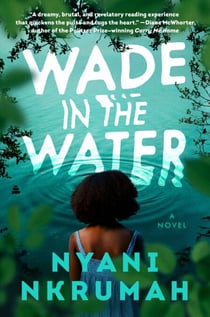 Wade in the Water - A Novel