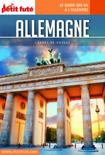 ALLEMAGNE 2018 Carnet Petit Futé