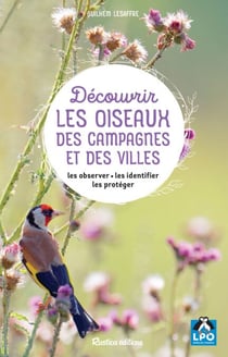 Découvrir les oiseaux des campagnes et des villes - Les observer - Les identifier - Les protéger