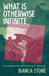 What Is Otherwise Infinite - Poems
