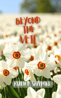 Beyond the Veil - Speedlit