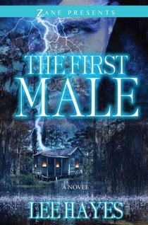 The First Male - A Novel