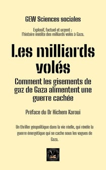 Les milliards volés: Comment les gisements de gaz de Gaza alimentent une guerre cachée - Les Cahiers de la Méditerranée