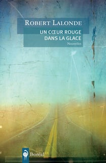 Un coeur rouge dans la glace