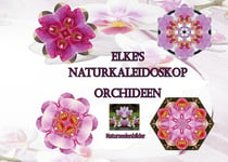 Elkes Naturkaleidoskop - Orchideen