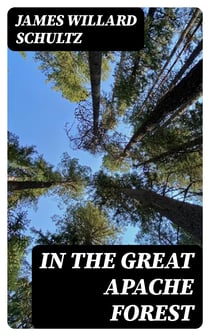 In the Great Apache Forest