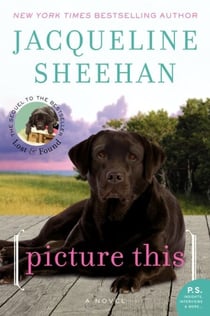 Picture This - A Novel