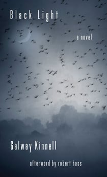 Black Light - A Novel