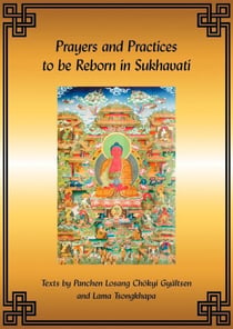 Prayers and Practices to be Reborn in Sukhavati eBook