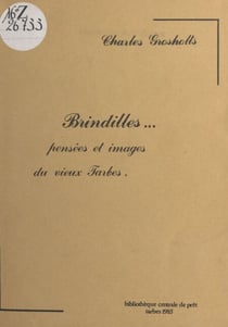 Brindilles : pensées et images du vieux Tarbes