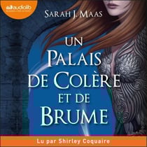 Un palais de colère et de brume - Un palais d'épines et de roses, tome 2 (ACOTAR)
