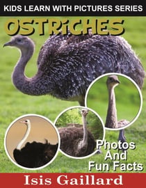 Ostriches Photos and Fun Facts for Kids - Kids Learn With Pictures, #61