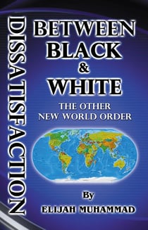 Dissatisfaction Between Black And White - The Other New World Order