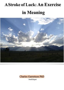 A Stroke of Luck: An Exercise in Meaning