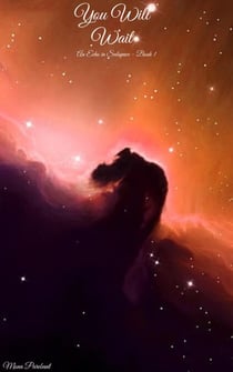 You Will Wait - An Echo In Subspace, #1