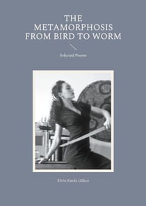 The Metamorphosis from Bird to Worm - Selected Poems