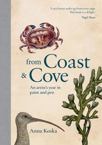 From Coast & Cove - An artist’s year in paint and pen