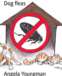 Dog fleas - How to cope