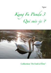 Kung Fu Panda 3 - Qui suis-je ?
