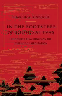 In the Footsteps of Bodhisattvas - Buddhist Teachings on the Essence of Meditation