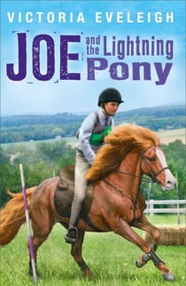 Joe and the Lightning Pony - Book 2