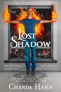 Lost Shadow - The Neverwood Chronicles, #3