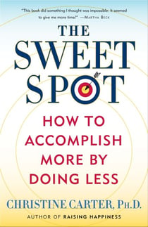 The Sweet Spot - How to Accomplish More by Doing Less