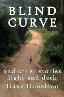 Blind Curve And Other Stories Light And Dark
