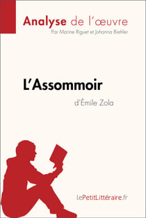 L'Assommoir d'Émile Zola (Analyse de l'oeuvre) - Analyse complète et résumé détaillé de l'oeuvre