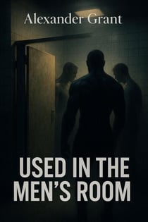 Used in the Men's Room - Shared Heat, #2