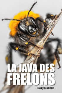 La java des frelons - Roman