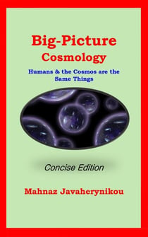 Big Picture Cosmology - Concise Edition