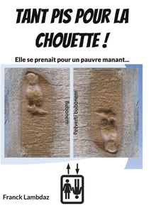 Tant pis pour la chouette ! - Elle se prenait pour un pauvre manant...