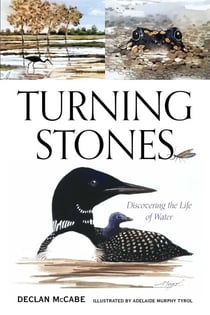 Turning Stones - Discovering the Life of Water
