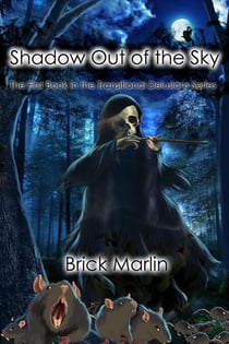 Shadow Out of the Sky - Transitional Delusions Series, #1