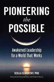 Pioneering the Possible - Awakened Leadership for a World That Works