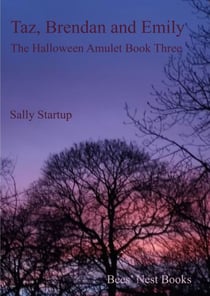 Taz, Brendan and Emily - The Halloween Amulet, #3