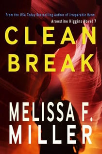 Clean Break - Aroostine Higgins Novels, #7