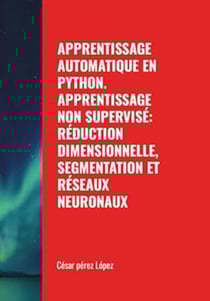 Apprentissage Automatique en Python. Apprentissage non Supervisé: Réduction Dimensionnelle, Segmentation et Réseaux Neuronaux - MACHINE LEARNING