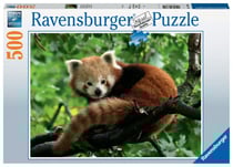Puzzle 500 pièces - Adorable panda roux