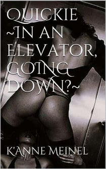 Quickie in an Elevator.  Going down?