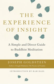 The Experience of Insight - A Simple and Direct Guide to Buddhist Meditation