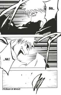 Bleach - T25 - Chapitre 219 - Black & White3