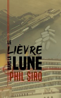 Le lièvre dans la lune