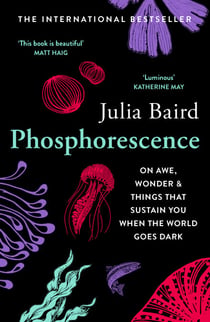 Phosphorescence - On awe, wonder & things that sustain you when the world goes dark