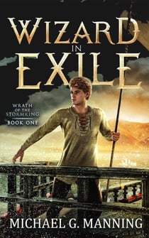 Wizard in Exile - Wrath of the Stormking, #1