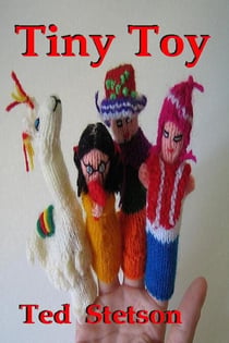 Tiny Toy - Christmas stories, #5